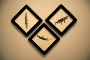 mirabilia naturae 10 baja