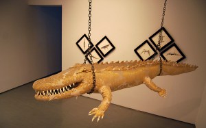 mirabilia naturae 4 baja