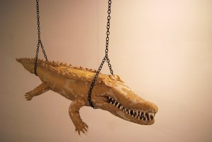 mirabilia naturae 5 baja