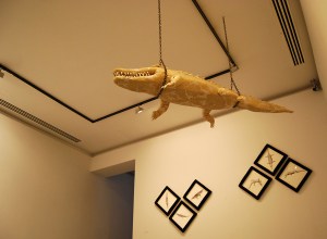 mirabilia naturae 7 baja