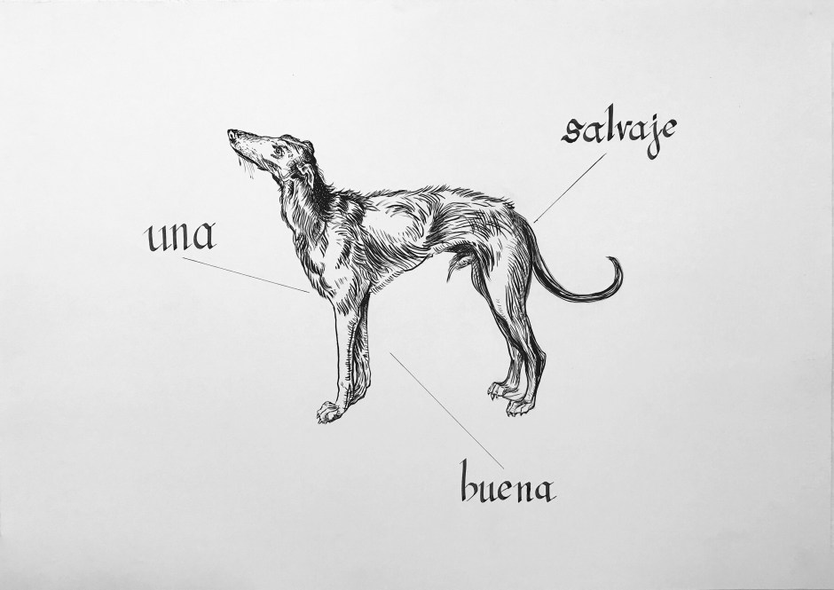 unasalvajebuenachienne